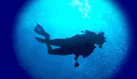 Scuba Diving in British Columba